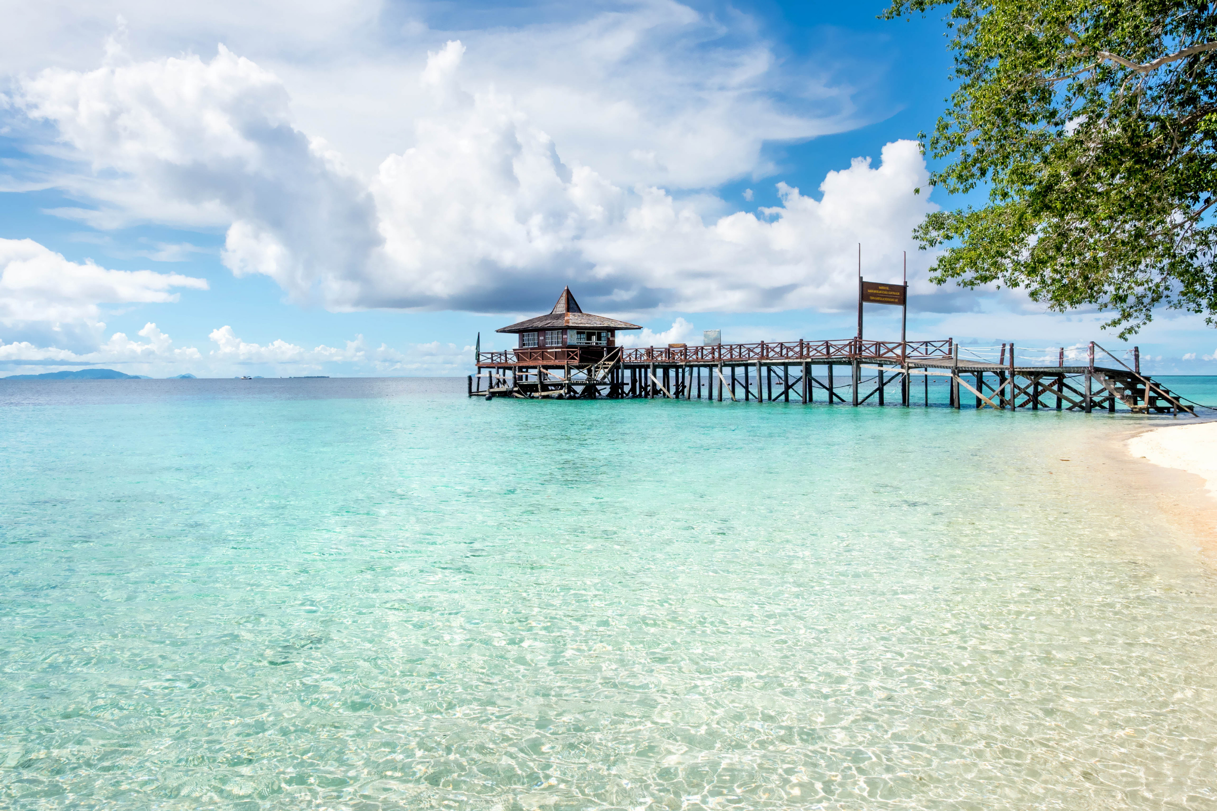 sukau (4).webp
